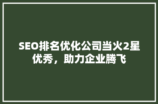 SEO排名优化公司当火2星优秀，助力企业腾飞