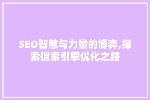 SEO智慧与力量的博弈,探索搜索引擎优化之路