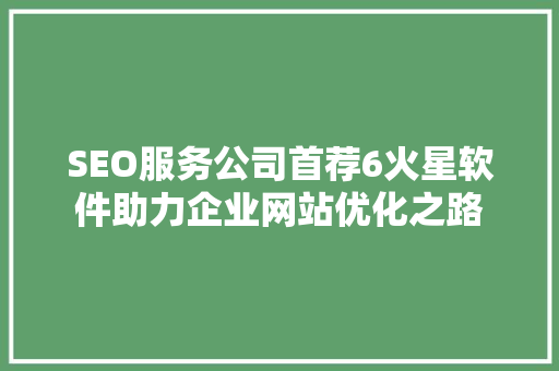 SEO服务公司首荐6火星软件助力企业网站优化之路