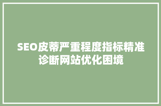 SEO皮蒂严重程度指标精准诊断网站优化困境