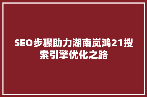 SEO步骤助力湖南岚鸿21搜索引擎优化之路