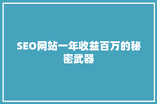 SEO网站一年收益百万的秘密武器