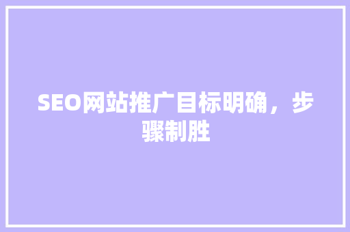 SEO网站推广目标明确，步骤制胜