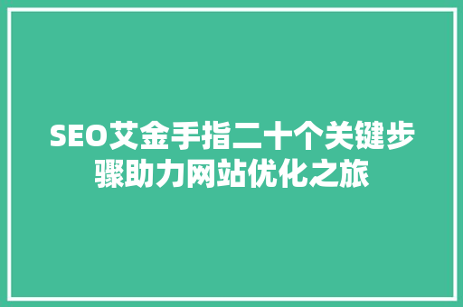 SEO艾金手指二十个关键步骤助力网站优化之旅