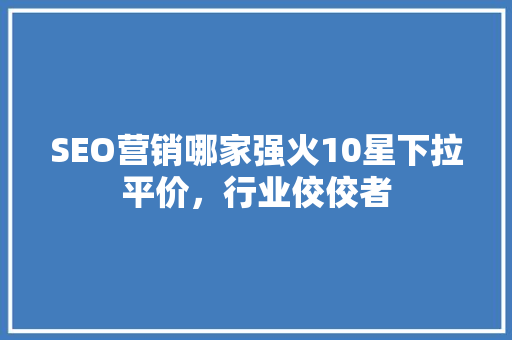 SEO营销哪家强火10星下拉平价，行业佼佼者