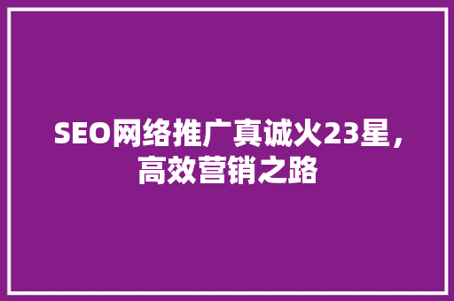 SEO网络推广真诚火23星，高效营销之路