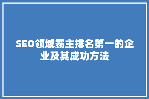 SEO领域霸主排名第一的企业及其成功方法