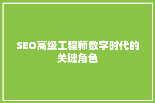 SEO高级工程师数字时代的关键角色