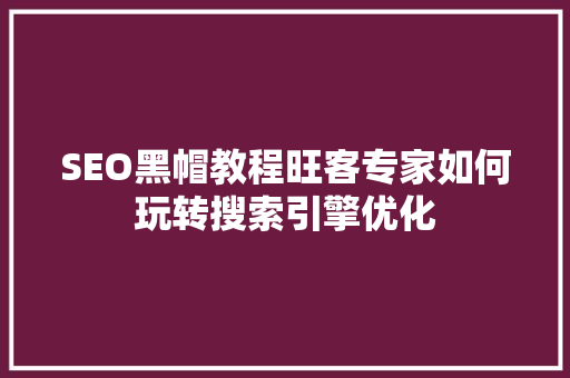 SEO黑帽教程旺客专家如何玩转搜索引擎优化