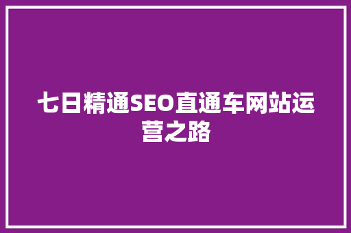 七日精通SEO直通车网站运营之路