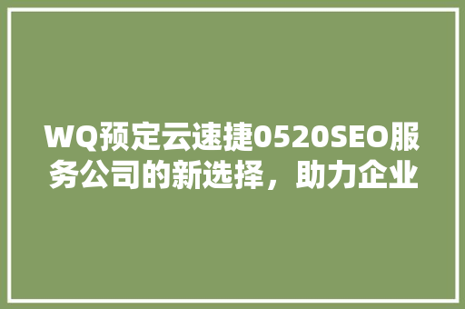 WQ预定云速捷0520SEO服务公司的新选择，助力企业高效提升网站排名