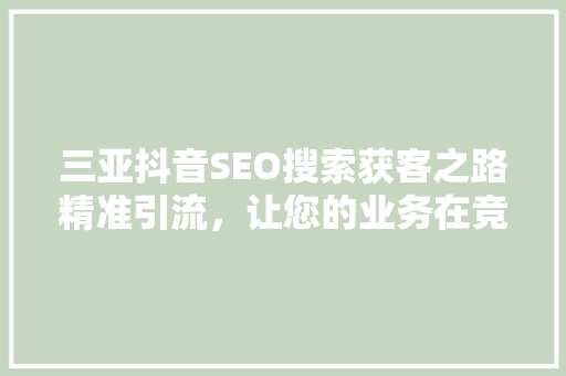 三亚抖音SEO搜索获客之路精准引流，让您的业务在竞争激烈的市场中脱颖而出