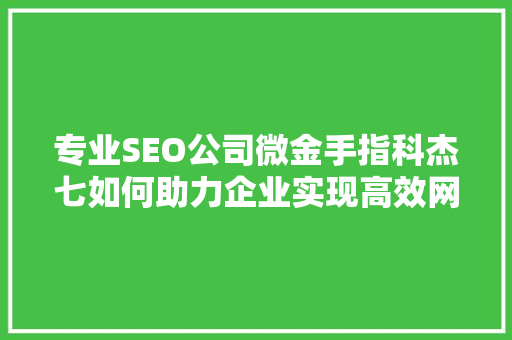 专业SEO公司微金手指科杰七如何助力企业实现高效网络营销