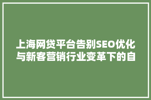 上海网贷平台告别SEO优化与新客营销行业变革下的自律与转型
