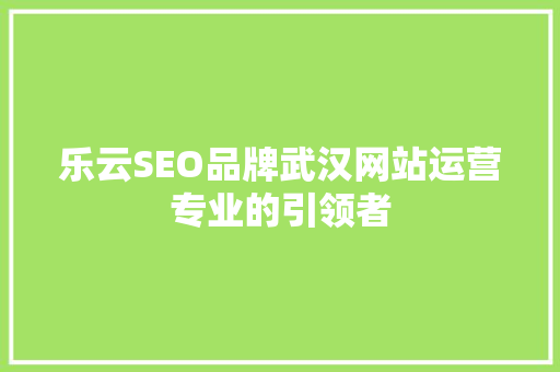 乐云SEO品牌武汉网站运营专业的引领者