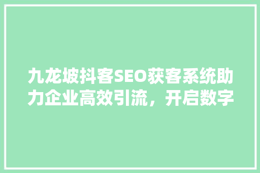 九龙坡抖客SEO获客系统助力企业高效引流，开启数字营销新篇章