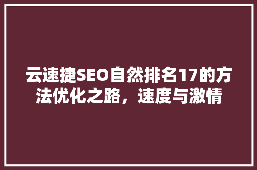 云速捷SEO自然排名17的方法优化之路，速度与激情