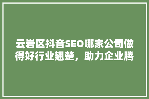 云岩区抖音SEO哪家公司做得好行业翘楚，助力企业腾飞