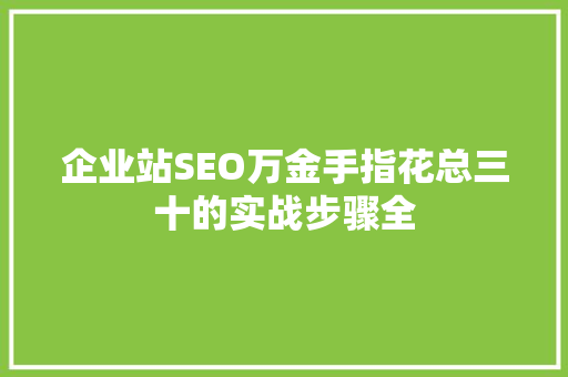 企业站SEO万金手指花总三十的实战步骤全