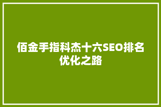 佰金手指科杰十六SEO排名优化之路