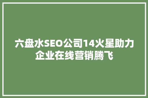 六盘水SEO公司14火星助力企业在线营销腾飞