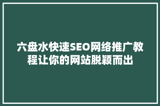 六盘水快速SEO网络推广教程让你的网站脱颖而出