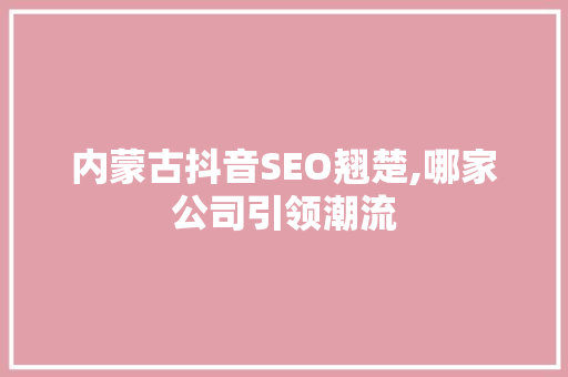 内蒙古抖音SEO翘楚,哪家公司引领潮流