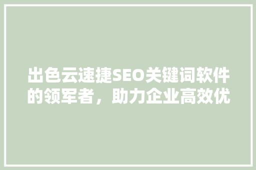 出色云速捷SEO关键词软件的领军者，助力企业高效优化