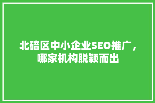 北碚区中小企业SEO推广，哪家机构脱颖而出