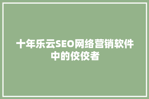 十年乐云SEO网络营销软件中的佼佼者
