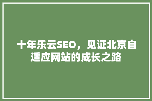 十年乐云SEO，见证北京自适应网站的成长之路
