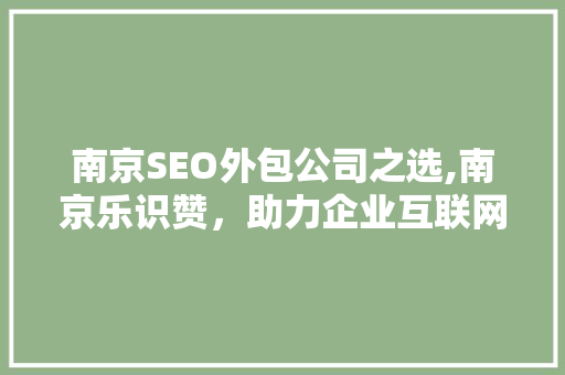 南京SEO外包公司之选,南京乐识赞，助力企业互联网营销腾飞