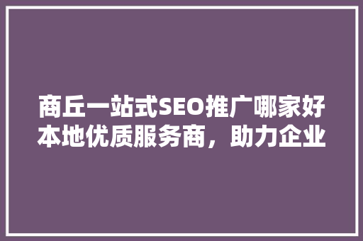 商丘一站式SEO推广哪家好本地优质服务商，助力企业腾飞