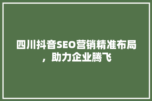 四川抖音SEO营销精准布局，助力企业腾飞