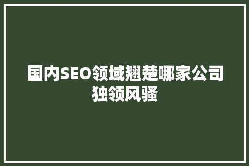 国内SEO领域翘楚哪家公司独领风骚