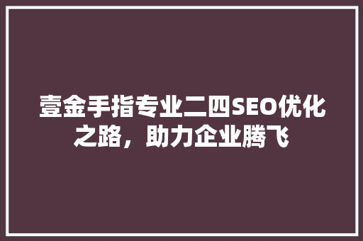 壹金手指专业二四SEO优化之路，助力企业腾飞