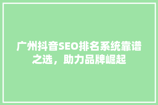 广州抖音SEO排名系统靠谱之选，助力品牌崛起