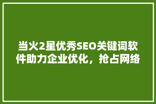 当火2星优秀SEO关键词软件助力企业优化，抢占网络市场先机