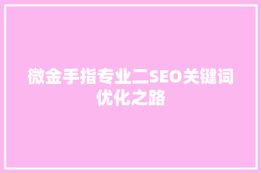 微金手指专业二SEO关键词优化之路