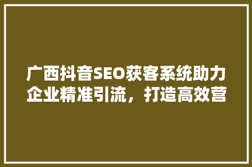 广西抖音SEO获客系统助力企业精准引流，打造高效营销新格局