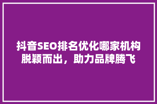 抖音SEO排名优化哪家机构脱颖而出，助力品牌腾飞