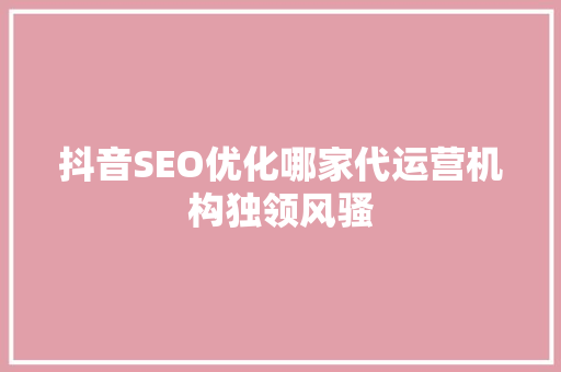 抖音SEO优化哪家代运营机构独领风骚