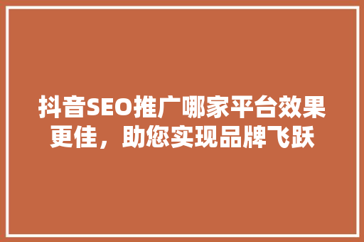 抖音SEO推广哪家平台效果更佳，助您实现品牌飞跃