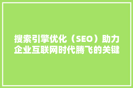 搜索引擎优化（SEO）助力企业互联网时代腾飞的关键步骤