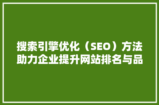 搜索引擎优化（SEO）方法助力企业提升网站排名与品牌影响力