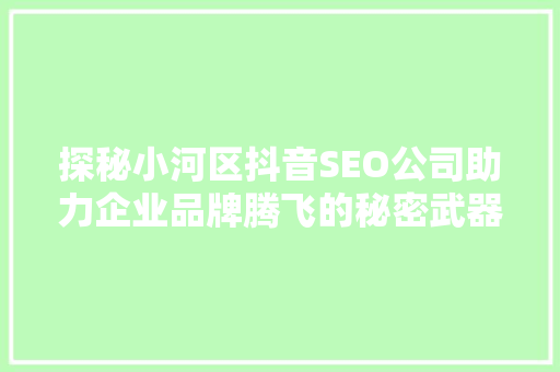 探秘小河区抖音SEO公司助力企业品牌腾飞的秘密武器
