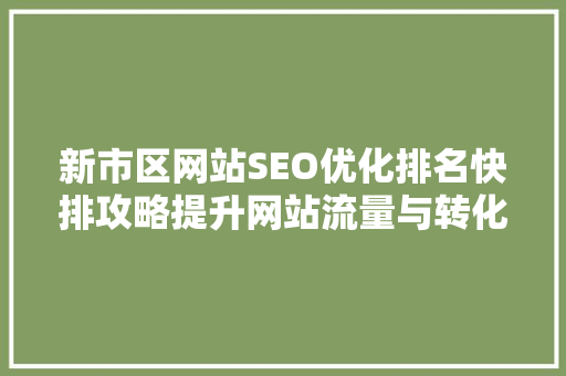 新市区网站SEO优化排名快排攻略提升网站流量与转化率的方法