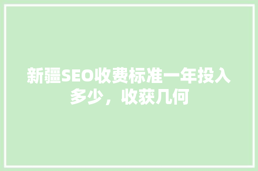 新疆SEO收费标准一年投入多少，收获几何