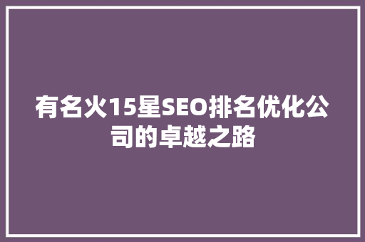 有名火15星SEO排名优化公司的卓越之路