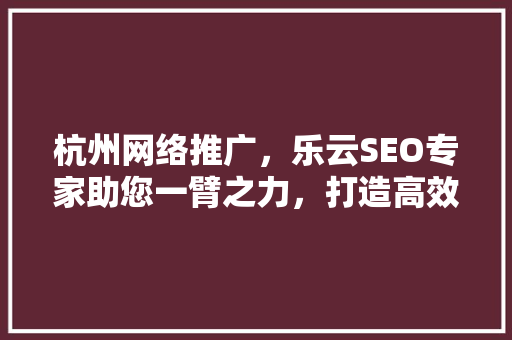 杭州网络推广，乐云SEO专家助您一臂之力，打造高效网络营销步骤